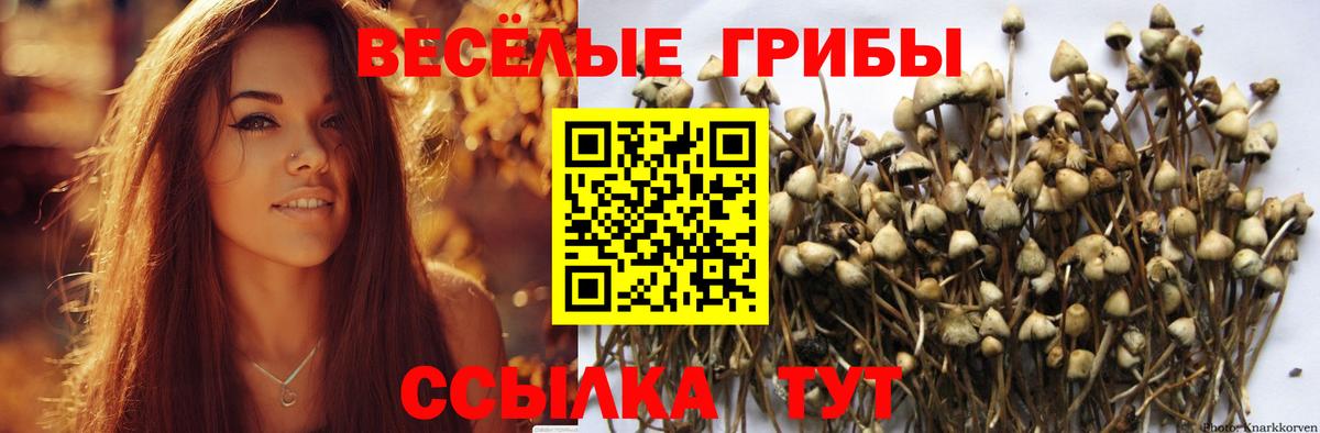 купить наркотики сайты  Псилоцибиновые грибы Magic Shrooms  Вход с VPN  Галлюциногенные грибы прущие грибы  Солнечногорск 